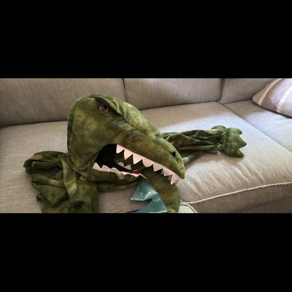 Pottery Barn Kids Green TRex Dinosaur Costume - Picture 7 of 7